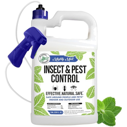 Gallon size peppermint oil - peppermint,